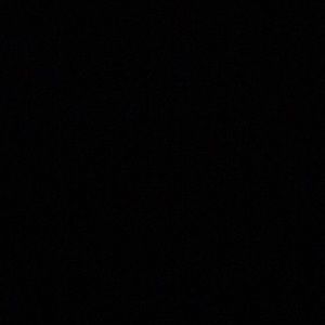 Meet your Posher, Bennett